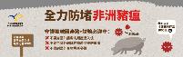 行政院農業委員會非洲豬瘟資訊專區