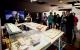 以「聖堂光影-建築特展」分享臺東歷史建築承載之文化與人文藝術意涵