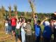 行動團隊舉辦新石力集體創作營-草冬季，帶領南河國小學子學習手工收割稻草，作為後續草編編織使用