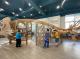 高雄市成功國小共讀站設計魚骨化石造型的書架，吸引學生駐足翻閱圖書_0