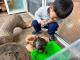基隆市復興國小附幼建置紅耳龜的「戶外豪宅」，讓幼童觀察其生活作息