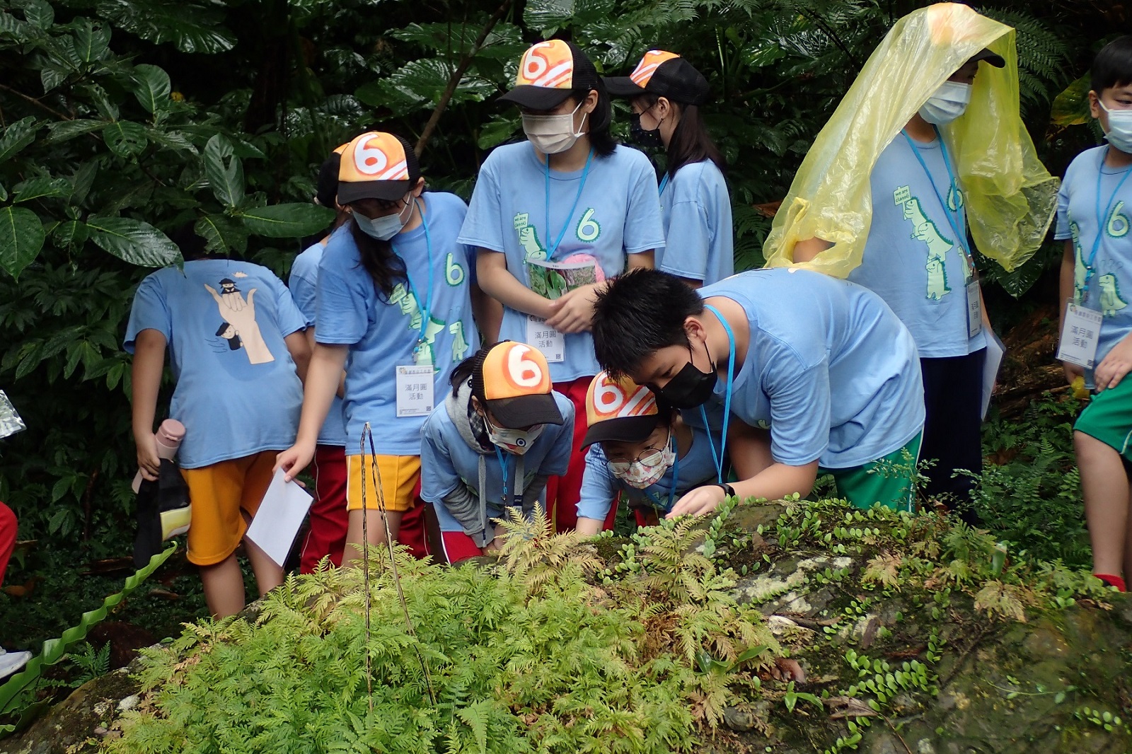 學員仔細觀察石頭上的附生植物(農委會林務局新竹林區管理處提供)_大圖