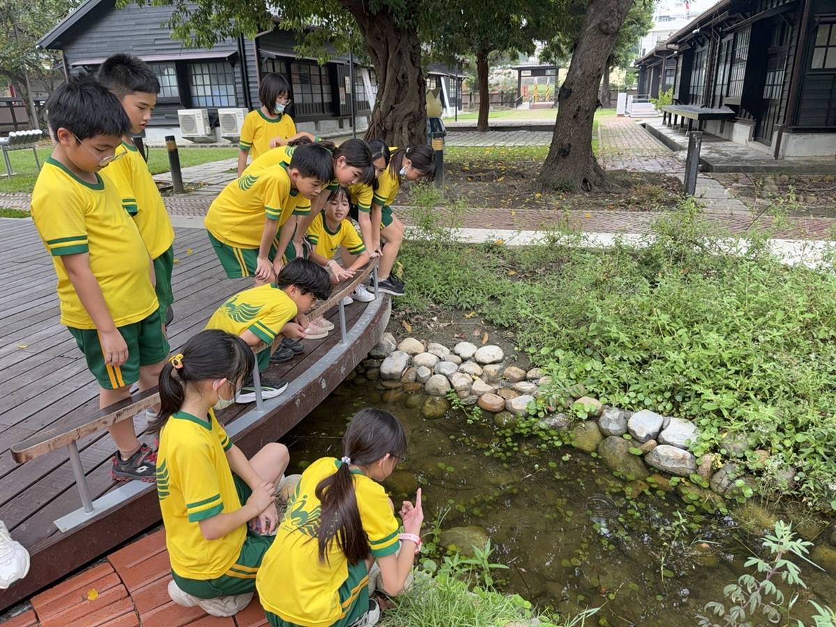 苗栗縣山腳國小：認識水生植物的自然體驗。.JPG_大圖